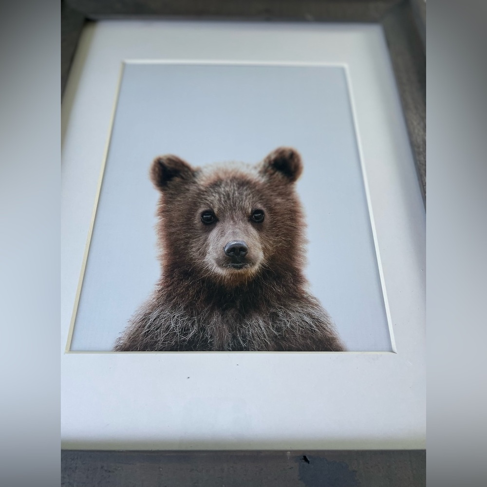 Bear Cub Rustic Frame Matted Wall Art Cottage Core Cabin Wildlife 17”x 14” - Picture 4 of 15